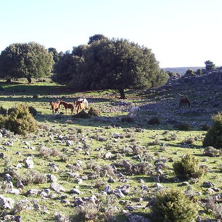 Agriturismo Didone ดอร์กาลี ภายนอก รูปภาพ