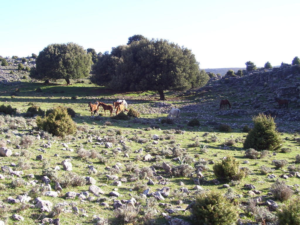 Agriturismo Didone ดอร์กาลี ภายนอก รูปภาพ